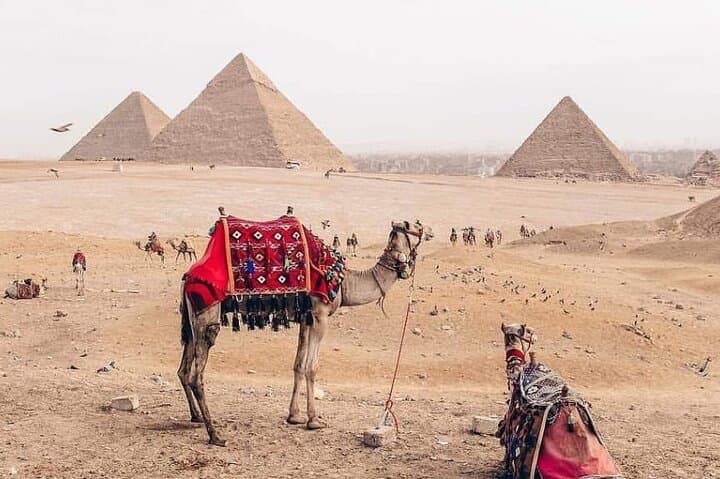 Sunrise & Sunset Camel and Horse Ride Around the Giza Pyramids photo 5