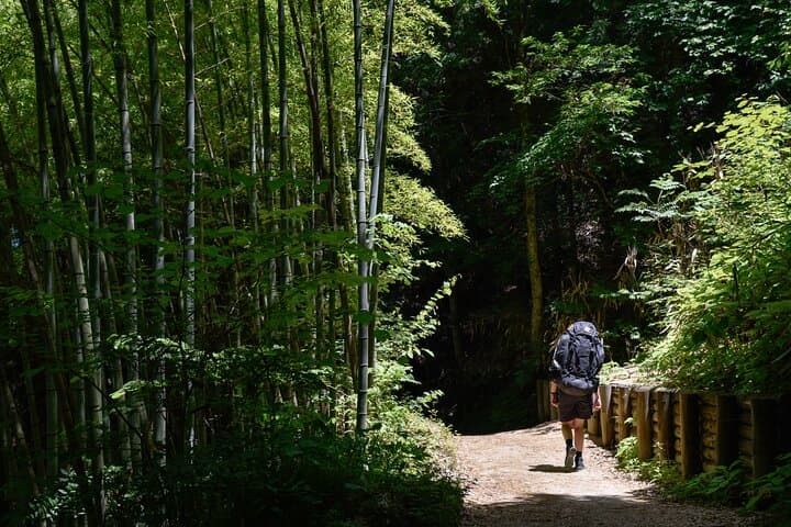 Hike Magome to Tsumago on the Nakasendo: Guided Day Walk in Kiso Valley photo 4