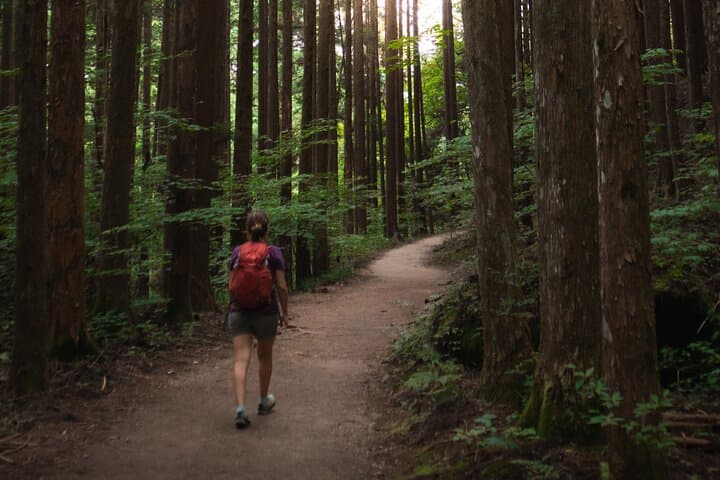 Hike Magome to Tsumago on the Nakasendo: Guided Day Walk in Kiso Valley photo 2