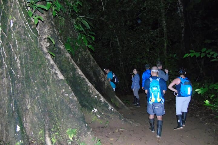 Overnight Jungle Camping and River Tubing at Rio Agujitas, Drake Bay