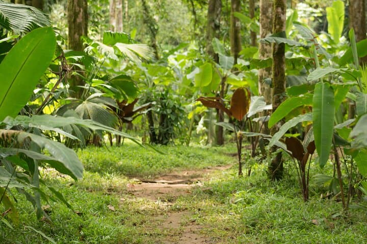 Overnight Jungle Camping and River Tubing at Rio Agujitas, Drake Bay photo 5