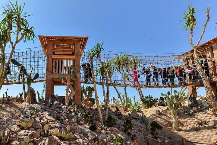 Agadir Crocodile Park Tour — See 300+ Nile Crocodiles with Round-Trip Transport photo 3