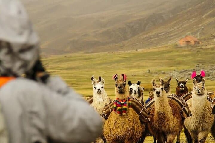 2-Day Rainbow Mountain Trek & Overnight Camping at Llamachimpana photo 4