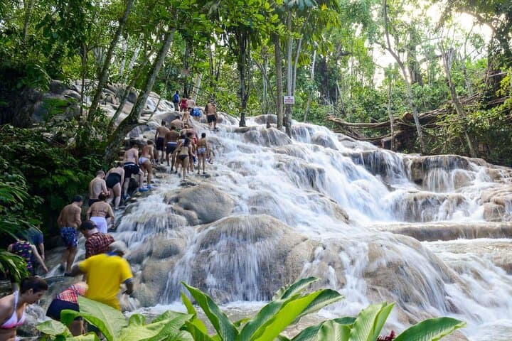 Bob Marley, Dunn's River Falls & Luminous Lagoon: Private Day Tour from Montego Bay photo 2