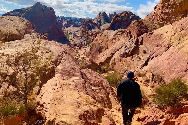 Valley of Fire Day Tour from Las Vegas: Explore Red Sandstone Formations & Ancient Petroglyphs photo 2