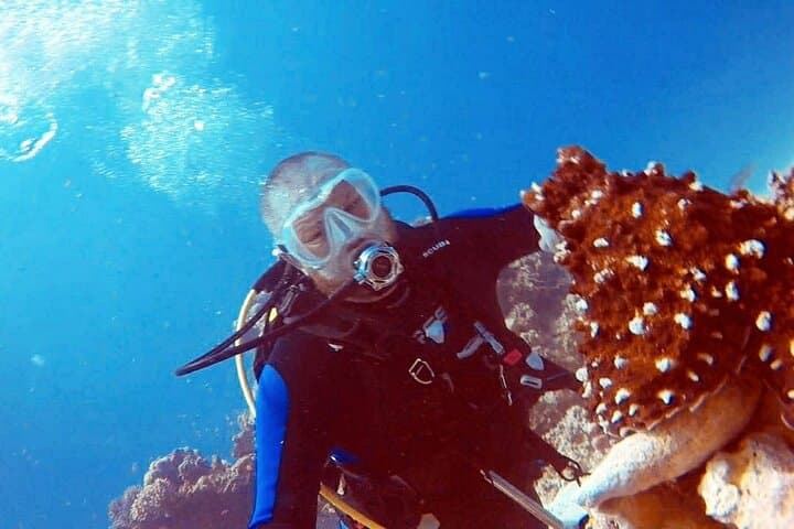 PADI Open Water Course in Hurghada — Learn Scuba Diving on the Red Sea photo 3