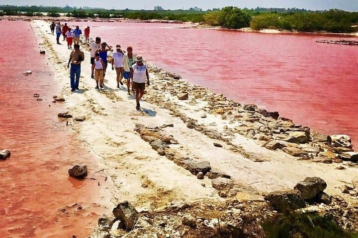 Costa Esmeralda 5-in-1 Progreso Day Tour — Cenotes, Flamingos & Xcambo Ruins photo 2