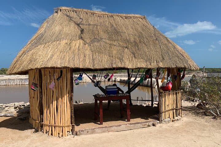 Costa Esmeralda 5-in-1 Progreso Day Tour — Cenotes, Flamingos & Xcambo Ruins photo 3