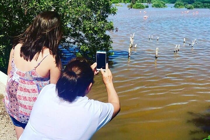 Costa Esmeralda 5-in-1 Progreso Day Tour — Cenotes, Flamingos & Xcambo Ruins photo 4