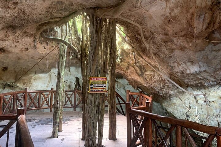 Cenote Adventure Tour from Progreso: Swim Underground Caverns and Yucatecan Flavors
