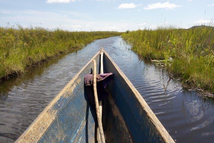 Mabamba Shoebill Tracking: 1-Day Shoebill Safari from Entebbe photo 5