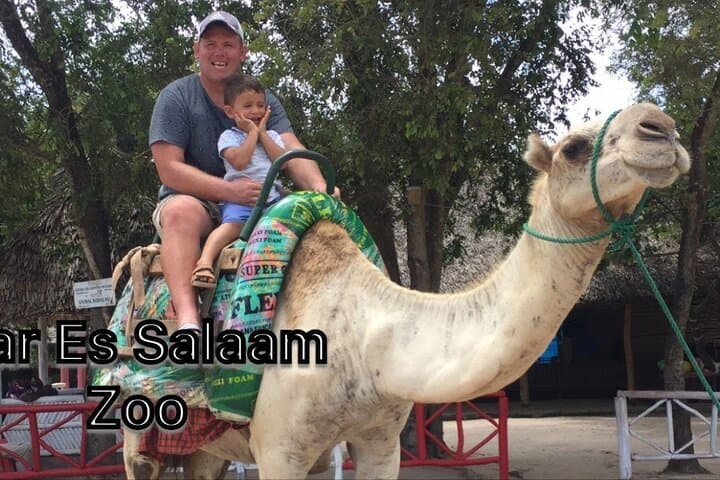 Dar es Salaam Zoo & Horse Riding Day Tour — Wildlife Encounters and Practical Tips photo 2
