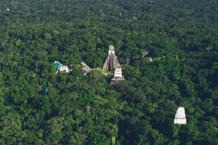 One-Day Tikal Tour from Antigua: Flight, Jungle Trek & Maya Pyramids photo 2
