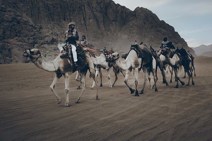 Desert Quad & Camel Safari in Sharm: Buggies, Bedouin Camp & VIP Dinner photo 4