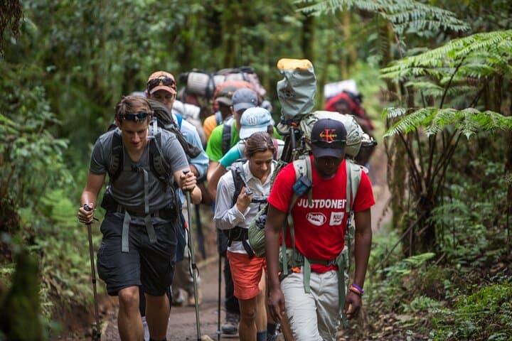 7-Day Machame Route Kilimanjaro Summit: Arusha Guided Trek with High Success Rate photo 6
