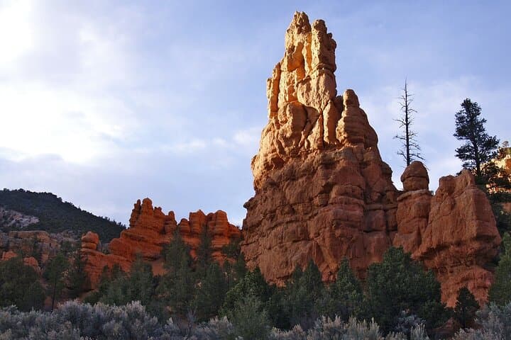 Zion and Bryce Canyon Day Tour from Las Vegas — Hoodoos, Canyons & Scenic Viewpoints photo 6