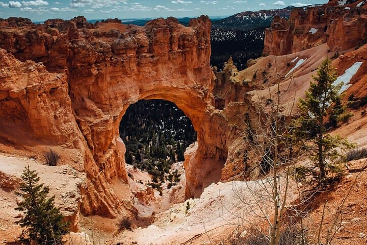 Zion and Bryce Canyon Day Tour from Las Vegas — Hoodoos, Canyons & Scenic Viewpoints photo 4