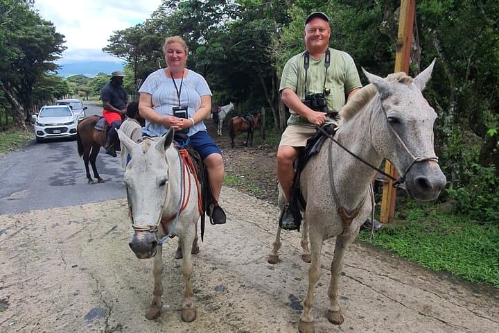 Miravalles Volcano Adventure: Hot Springs, Mud Baths, Waterfalls & Hanging Bridges photo 4