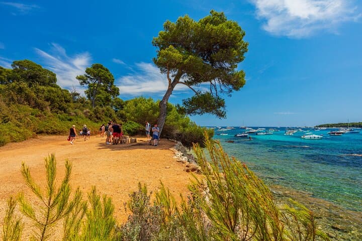 Ferry to Île Sainte-Marguerite — Independent Day Trip from Cannes photo 5