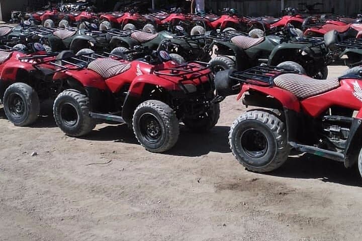 Desert Quad & Camel Safari in Sharm: Buggies, Bedouin Camp & VIP Dinner photo 5