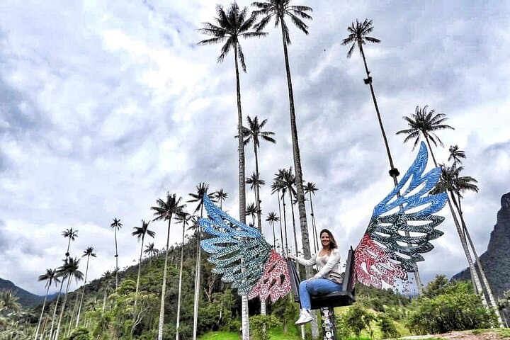 Hiking Cocora Valley: Wax Palms, Willys & Cloud-Forest Trails