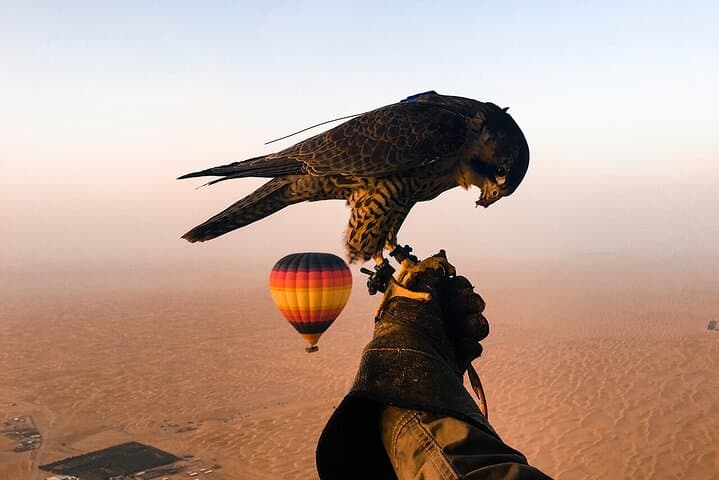 Sunrise Hot Air Balloon Flight Over Dubai Desert photo 2