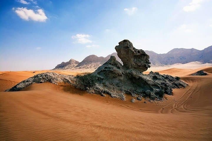 Dubai Red Dune Desert Safari with Quad Bike, Dune Bashing & Bedouin Camp photo 3