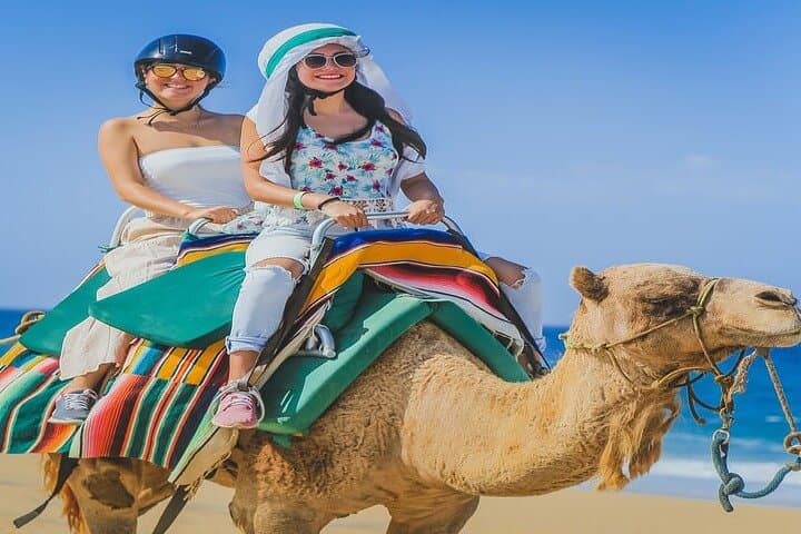Camel Ride and ATV Combo at Migriño Beach — Los Cabos Adventure Tour photo 3