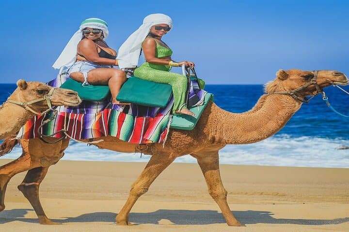 Camel Ride and ATV Combo at Migriño Beach — Los Cabos Adventure Tour photo 4