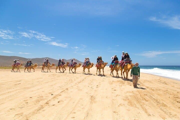 Camel Ride and ATV Combo at Migriño Beach — Los Cabos Adventure Tour photo 5