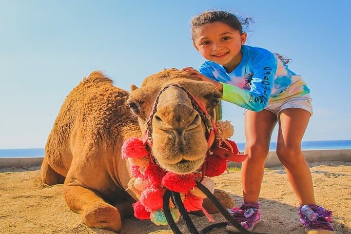 Camel Ride and ATV Combo at Migriño Beach — Los Cabos Adventure Tour photo 6