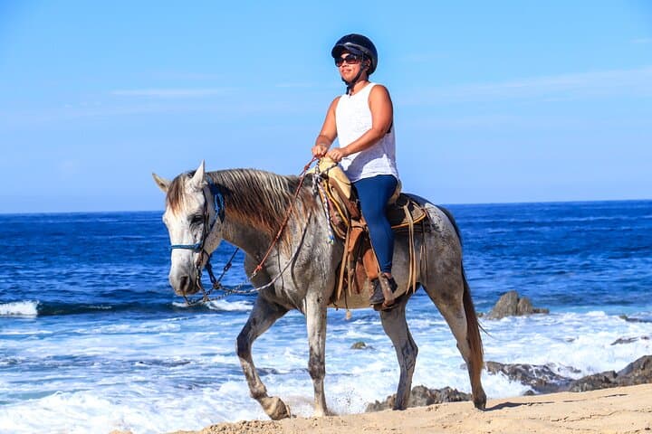 Horseback Riding & Dune Buggy Combo at Migriño Beach — 2-Hour Los Cabos Adventure