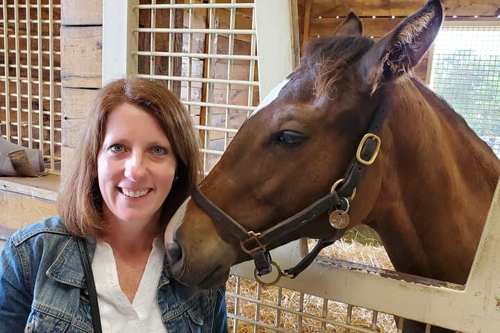 Bluegrass Horse Farm Tour: Behind-the-Scenes Lexington Thoroughbred Experience photo 5