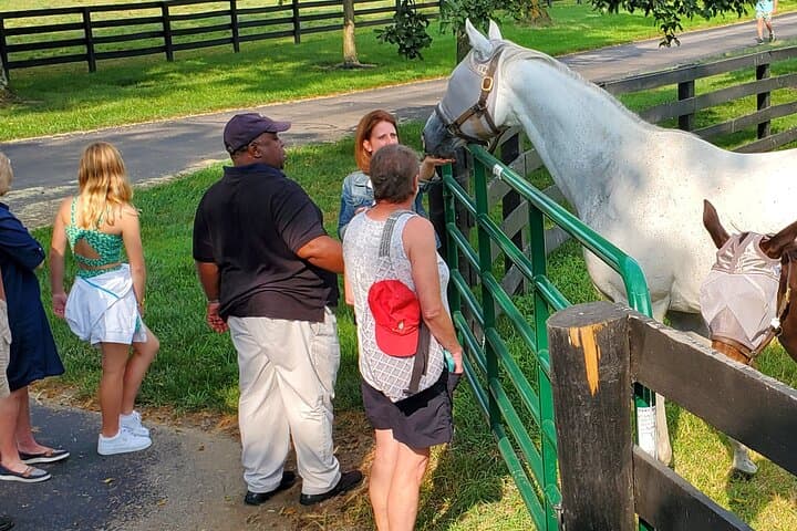Bluegrass Horse Farm Tour: Behind-the-Scenes Lexington Thoroughbred Experience