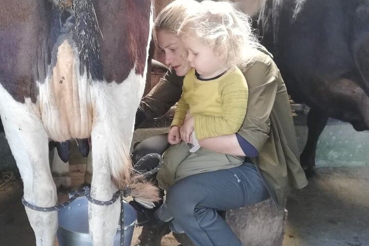 Milking Cows & Breakfast at El Terruño de los Torres — Monteverde Farm Experience