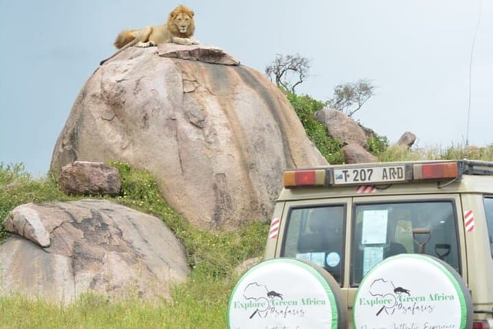 5-Day Northern Serengeti Safari: Great Migration & Mara River Crossings