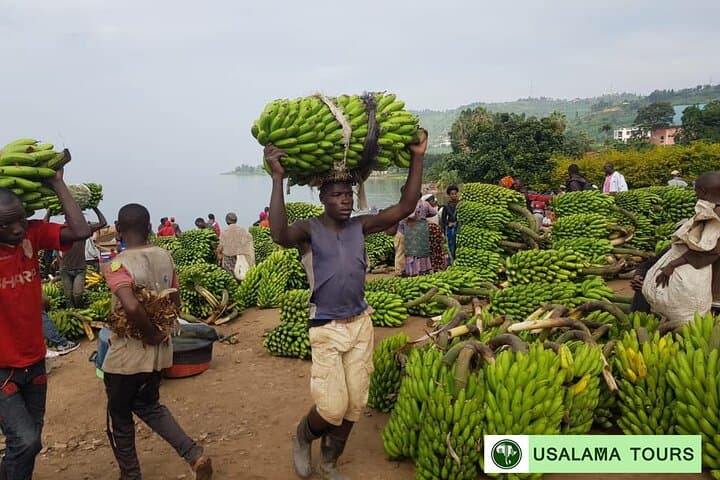 Congo Nile Trail: 5-Day Hike Along Lake Kivu's Rolling Hills photo 6