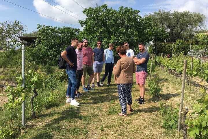 Saint-Paul-de-Vence Private Tour & Organic Wine Tasting — From Nice photo 4