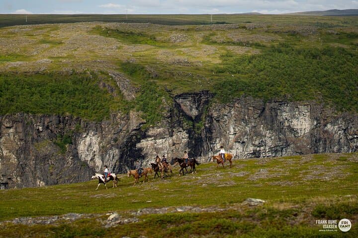 Arctic Horseback Riding Near Alta — Flatmoen Farm Winter Forest Rides photo 2