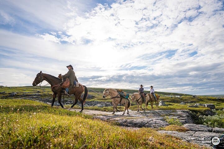 Arctic Horseback Riding Near Alta — Flatmoen Farm Winter Forest Rides photo 3