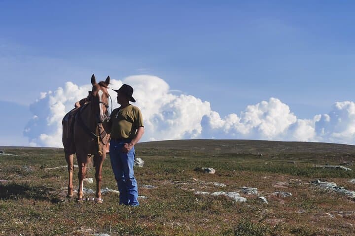 Arctic Horseback Riding Near Alta — Flatmoen Farm Winter Forest Rides photo 4