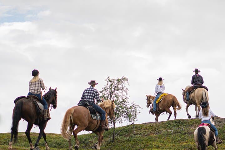 Arctic Horseback Riding Near Alta — Flatmoen Farm Winter Forest Rides photo 5
