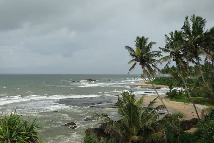 Coastal Train to Galle: 2-Day Cultural & Turtle Tour from Colombo photo 4