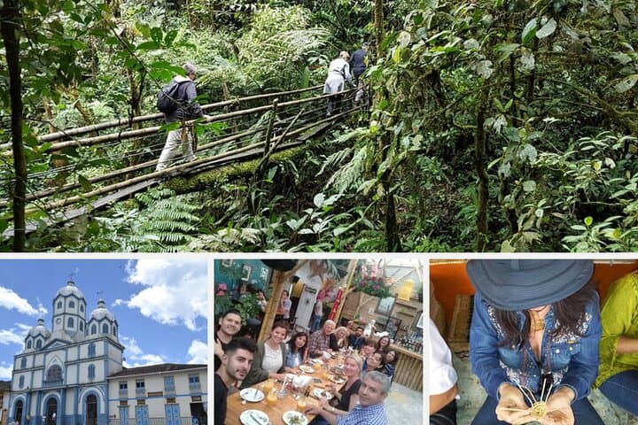 Cocora Valley to Filandia: Full-Day Private Tour of Salento & Coffee Region photo 3