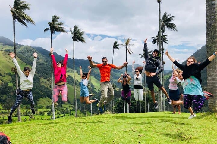 Cocora Valley to Filandia: Full-Day Private Tour of Salento & Coffee Region photo 2