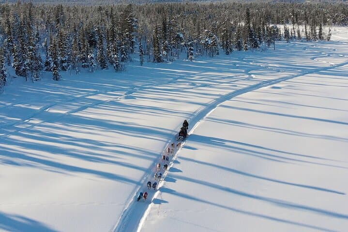 Sit-Down Husky Ride: Dog Sled Tour in Kiruna's Arctic Forests photo 5