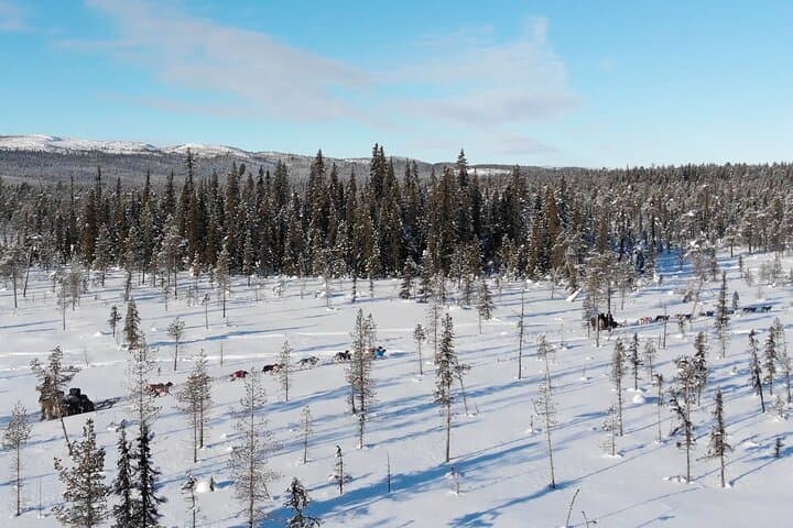 Sit-Down Husky Ride: Dog Sled Tour in Kiruna's Arctic Forests photo 6
