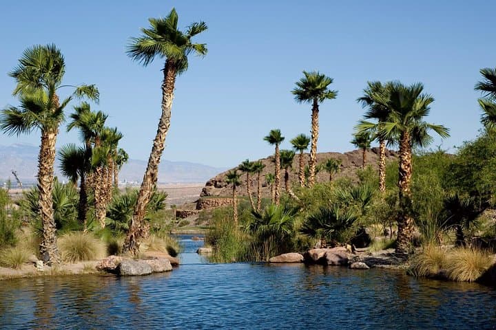 Fayyum Oasis Day Trip: Hawara Pyramid, Qarun Lake & Wadi El Hitan photo 2