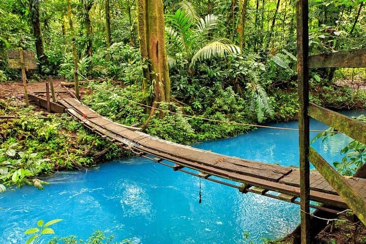 Rio Celeste Waterfall and Tenorio Volcano Day Trip — Sloths, Blue Water & Rainforest Hike photo 2
