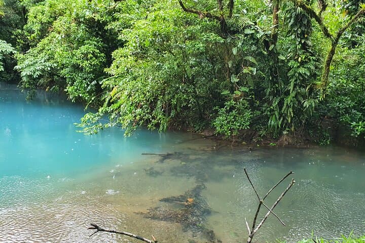 Rio Celeste Waterfall and Tenorio Volcano Day Trip — Sloths, Blue Water & Rainforest Hike photo 3